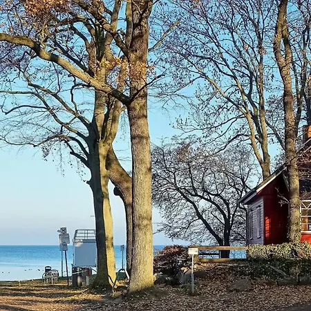 Cozy In With Sauna Zierow