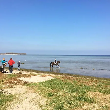 Cozy In With Sauna *
